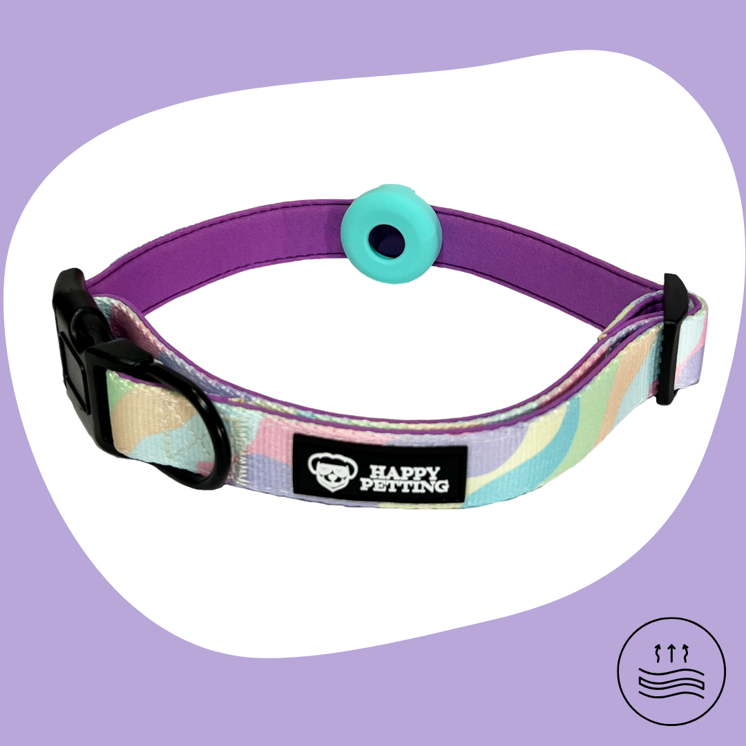 Halsband von vorne
