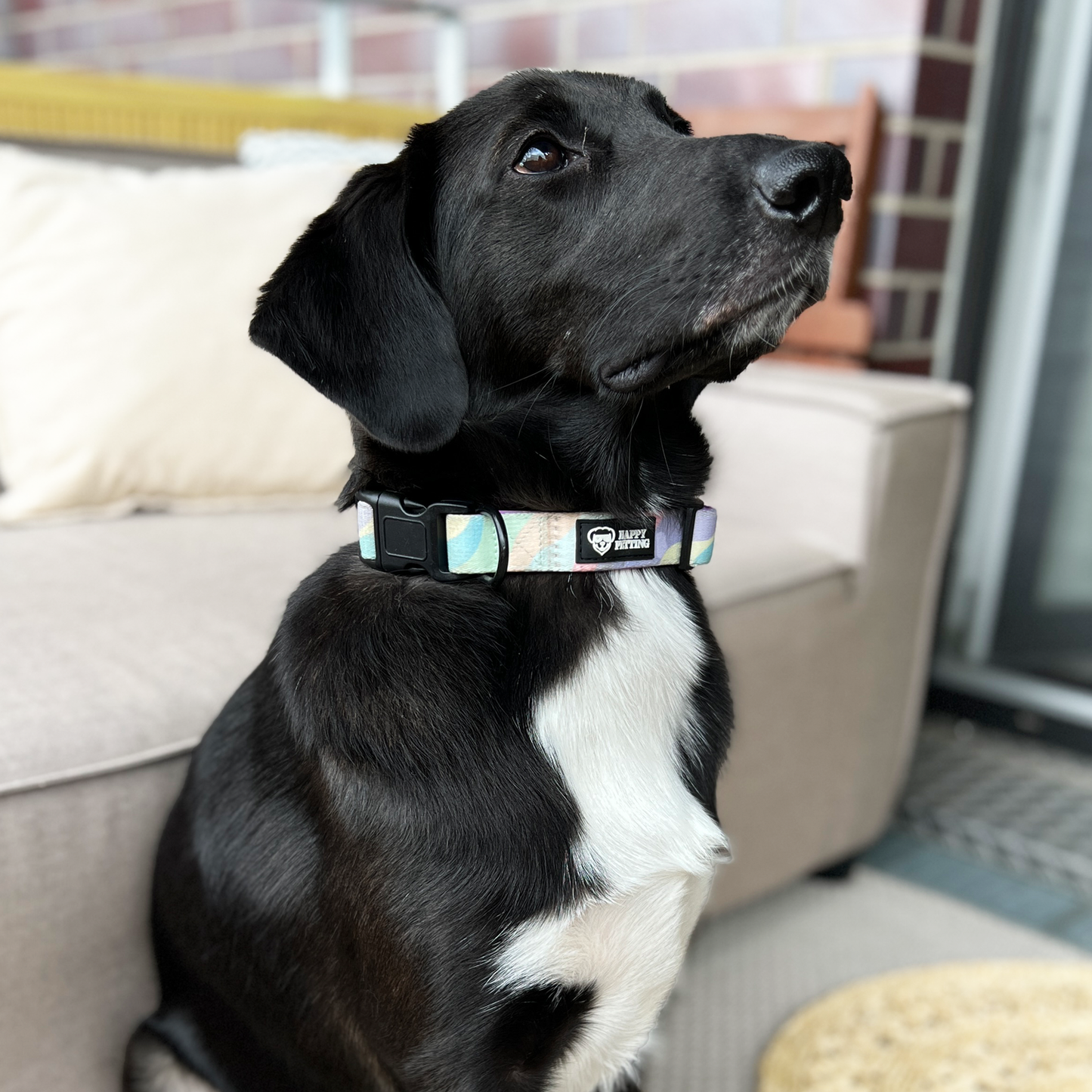 Halsband Pastel inkl AirTag-Halterung