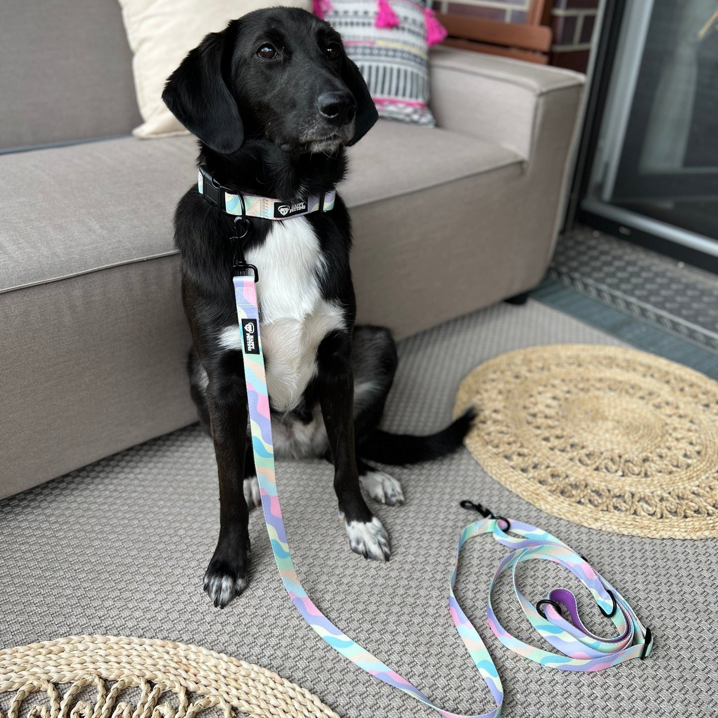 Hundeleine Pastel - gepolstert und Hands-free